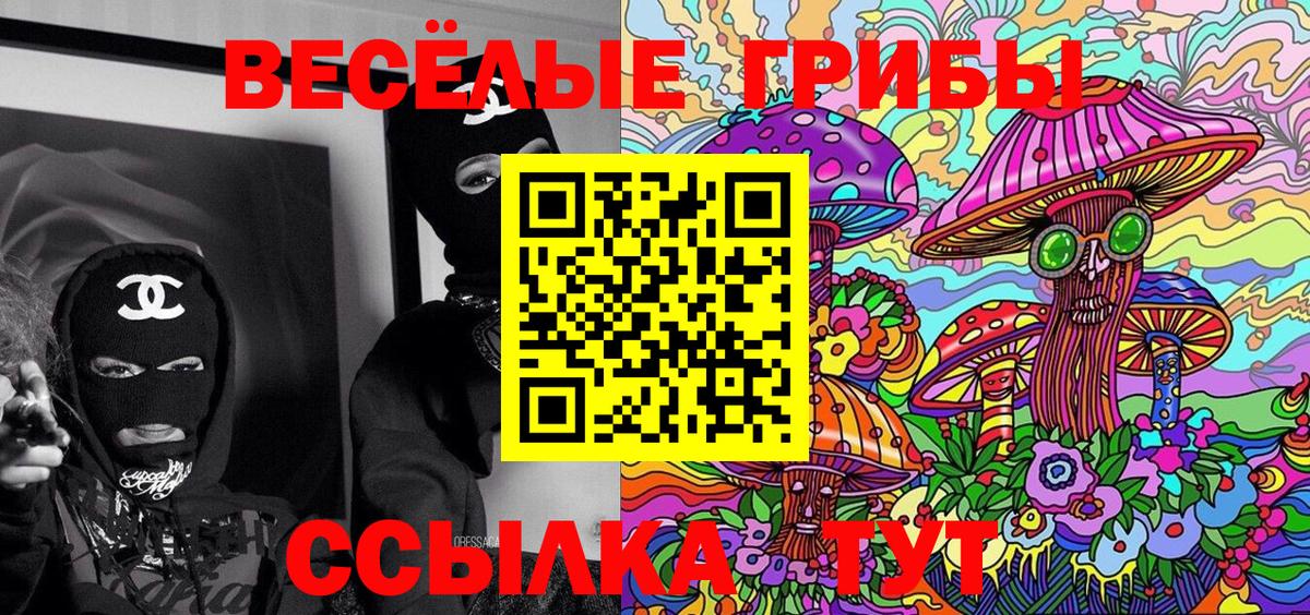 Галлюциногенные грибы мухоморы Норильск