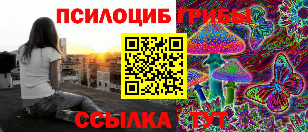 Галлюциногенные грибы MAGIC MUSHROOMS  Вход с VPN  Псилоцибиновые грибы мицелий  Норильск 